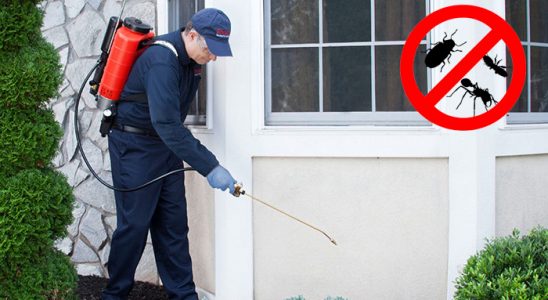 Yusufeli Karınca İlaçlama böcek ilaçlama ve haşere kontrolü — ilaclama-tr.com